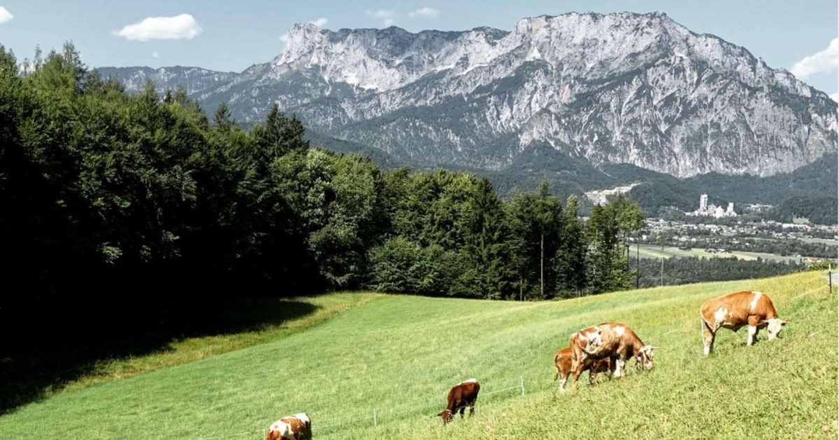 Schartengut in Puch mit Untersbergblick